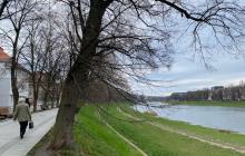 Липова алея в Ужгороді