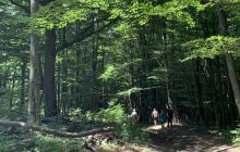 Туристичний маршрут гірською місцевістю Закарпаття