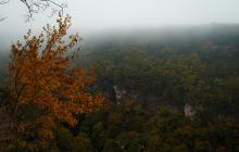 Осінній пейзаж