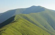 Полонина Боржава