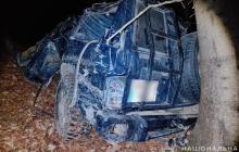 Наслідки ДТП на Тячівщині