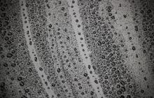 Маленькі краплі на поверхні