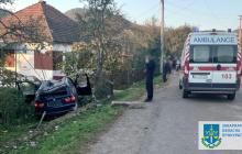 ДТП, в якому загинула 6-річна дівчинка у селі Тур'я Поляна