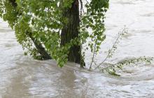 Підтоплення