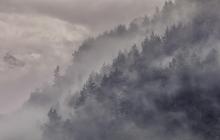 Гори, туман