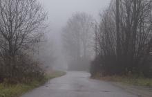 Туман на дорозі