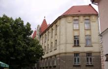 Перша школа Ужгород, ліцей Тараса Шевченка