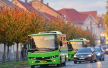 У Мукачеві 1 листопада до кладовища курсуватиме додатковий автобус