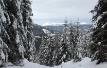 Краєвид гірської місцевості у Закарпаття