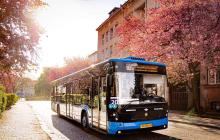 Автобус, вулиця Довженка в Ужгороді