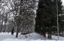 Боздоський парк