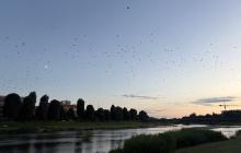 Ужгород, річка Уж, набережна