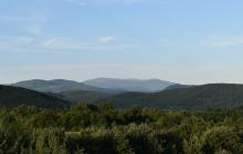 Закарпаття