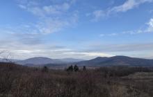 Закарпаття