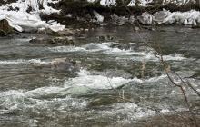 русло річки