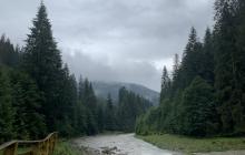 Закарпаття, ліс, гірська річка