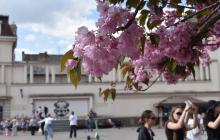 Сакура, площа Театральна