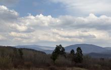 Закарпаття