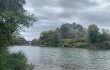 Закарпаття