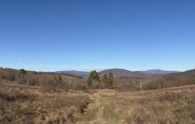 Закарпаття, гори, Ужгородщина