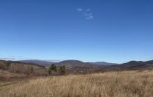 Закарпаття