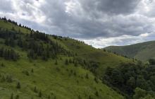 Закарпаття