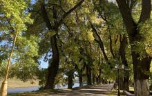 Осінній пейзаж Слов'янської набережної в Ужгороді