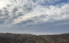 Закарпаття, небо, хмари, гірська стежка