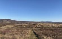 Закарпаття, стежка в горах, небо, суха трава