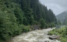 Краєвид гірської річки у Карпатах