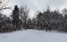 Ужгород, сніг