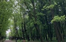 Боздоський парк