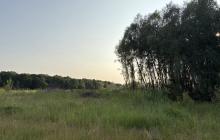 Лісова ділянка