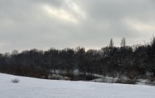 Ужгород, сніг, річка Уж