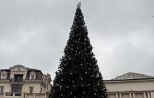 Ужгородська ялинка