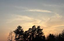 Ужгород, небо, дерева