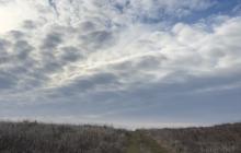 Закарпаття, Ужгородщина