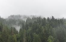 Карпати в зливу