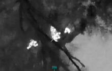 Порушники на кордоні