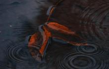 Листя, вода