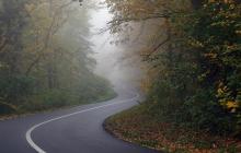 Туман на дорозі