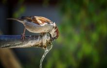 Вода з-під крана