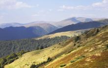 Пейзаж хребту Свидовець