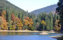Національний природний парк Синевир