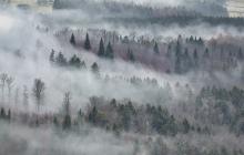 Туман взимку