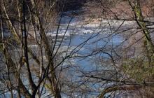 річка Тиса, Закарпаття