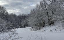 Ужанський нацпарк