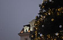 Святкова ялинка в Ужгороді