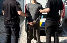 Підозрюваний у крадіжці