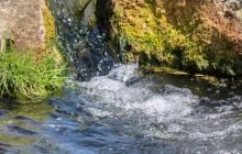 Річка, течія